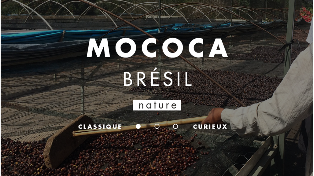 Café nature du Brésil Mococa