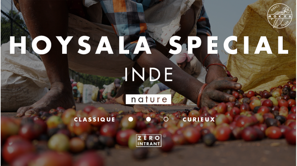 Café Inde Hoysala lot special nature sans intrant en direct trade