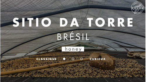Café de spécialité Brésil Honey Sitio Da Torre