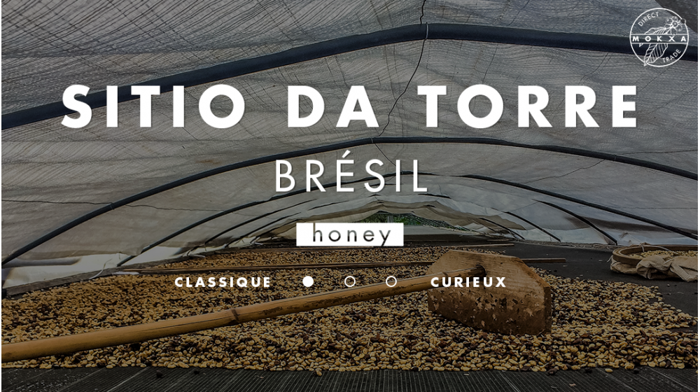 Café de spécialité Brésil Honey Sitio Da Torre