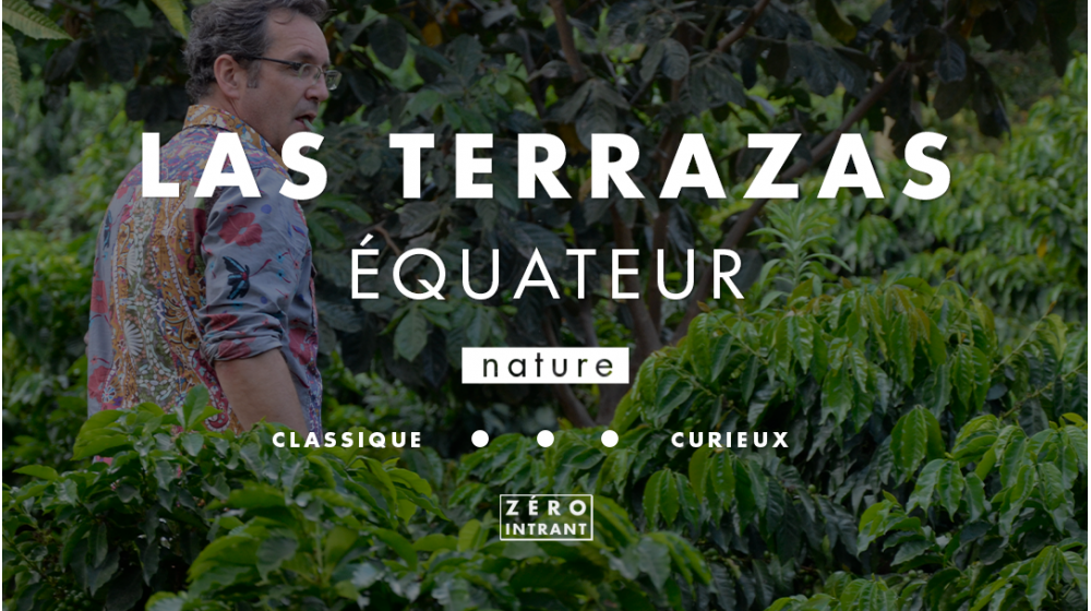 Equateur Las Terrazas Café de spécialité nature