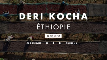Café nature d'Éthiopie