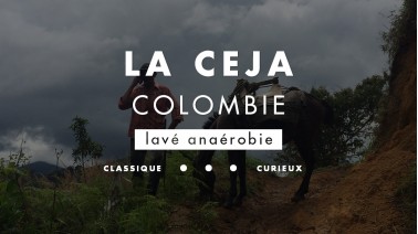 Café de Colombie La Ceja au process lavé et en fermentation longue