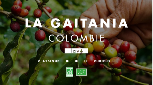 Colombie La gaitania, café de spécialité