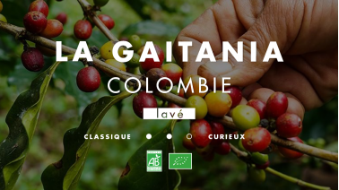 Colombie La gaitania, café de spécialité
