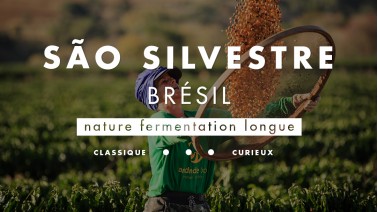 Café atypique du Brésil en fermentation longue