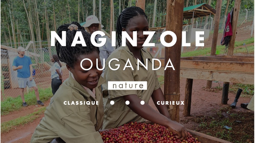 Café Ouganda Naginzole