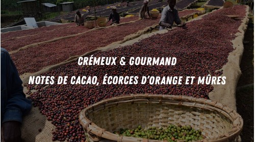 Notes de dégustation du café d'Éthiopie d'Habtamu de la ferme Matapa