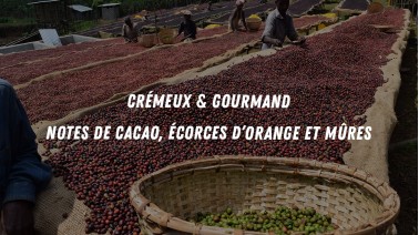 Notes de dégustation du café d'Éthiopie d'Habtamu de la ferme Matapa