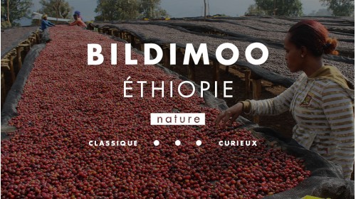 Café d'Ethiopie process nature très fruité et complexe